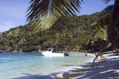 Picnic on a perfect tropical beach in Fiji with Taveuni Ocean Sports.