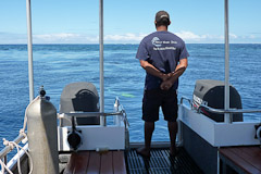 Tavenuni Ocean Sports' dive boat is fast, quiet and environmentally–friendly.
