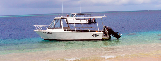 Our boats at Taveuni Ocean Sports