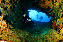 Come dive the most amazing places in Fiji with Taveuni Ocean Sports